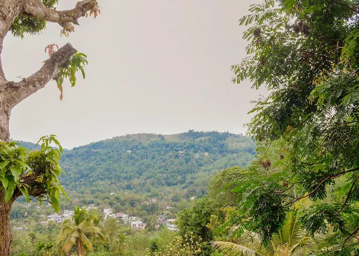 Tedro Home Stay