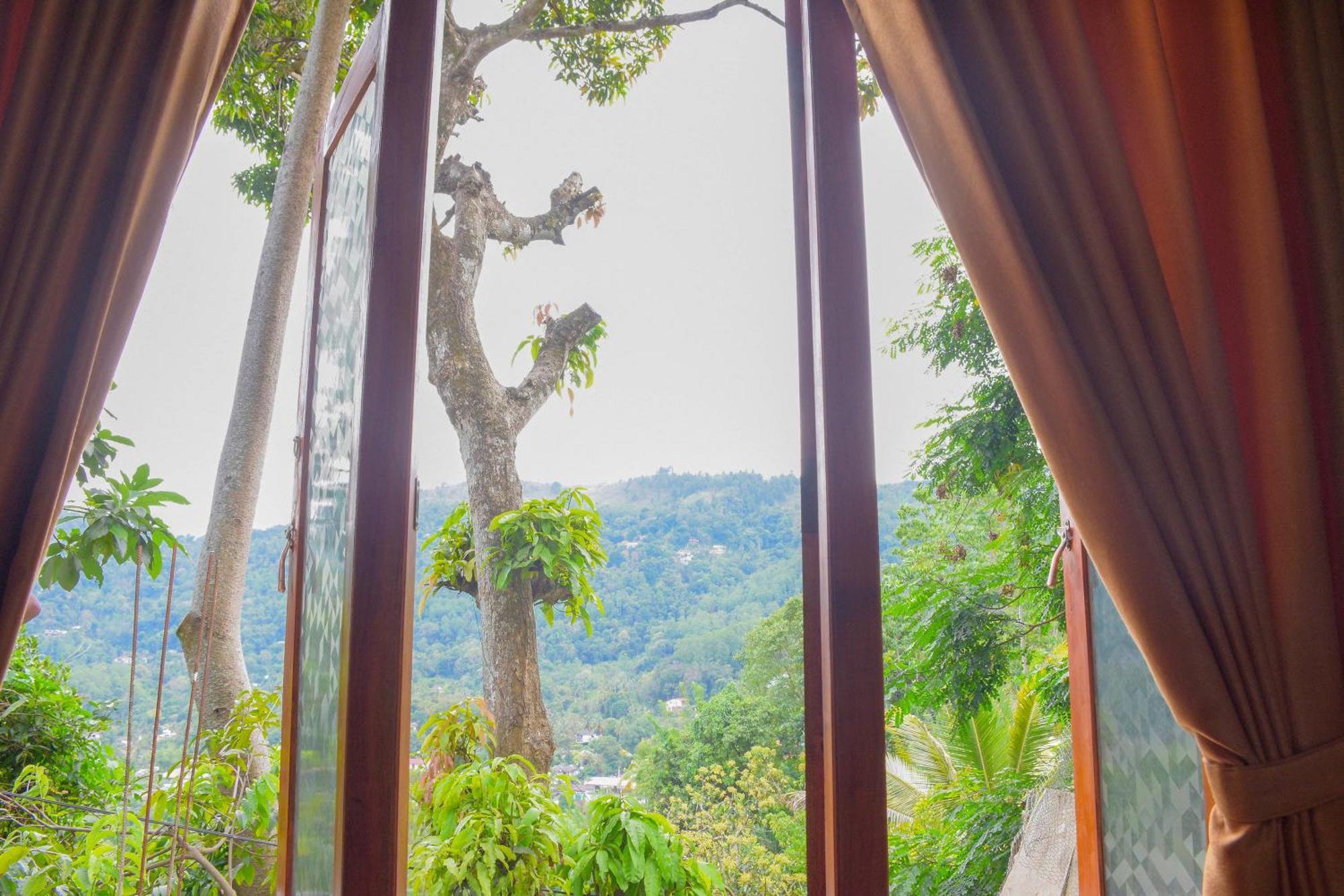 Tedro Lodge