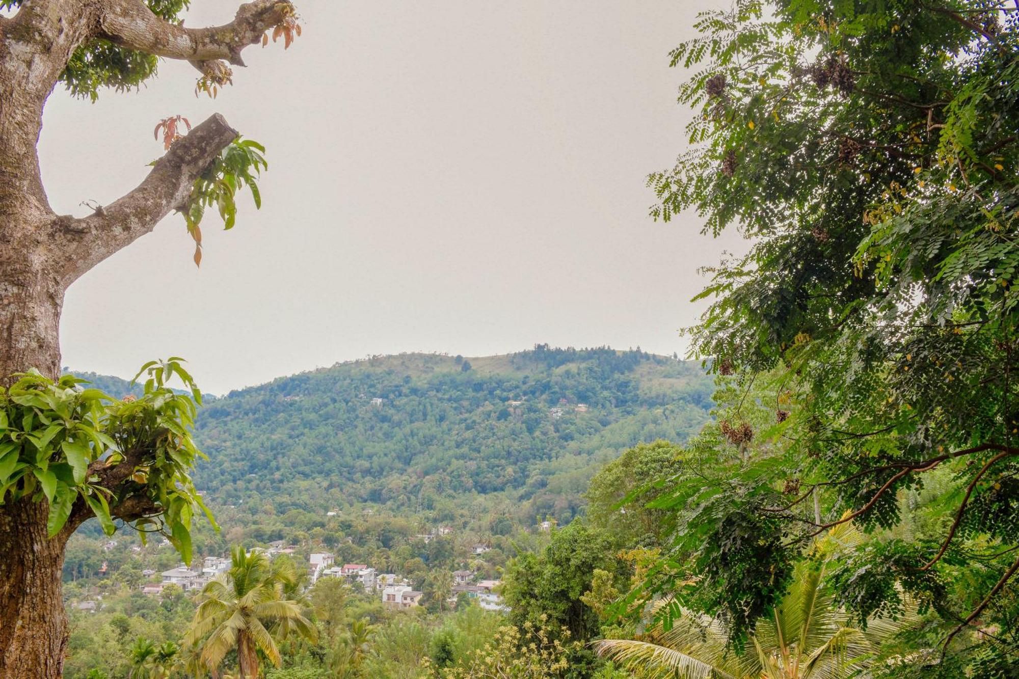 Tedro