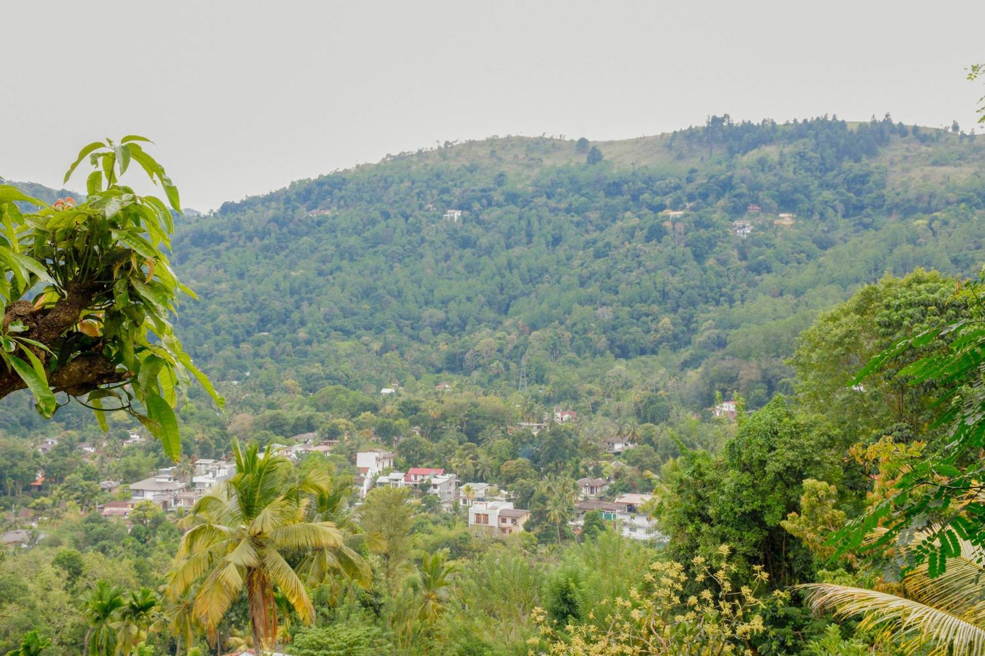 Tedro Lodge Ampitiya